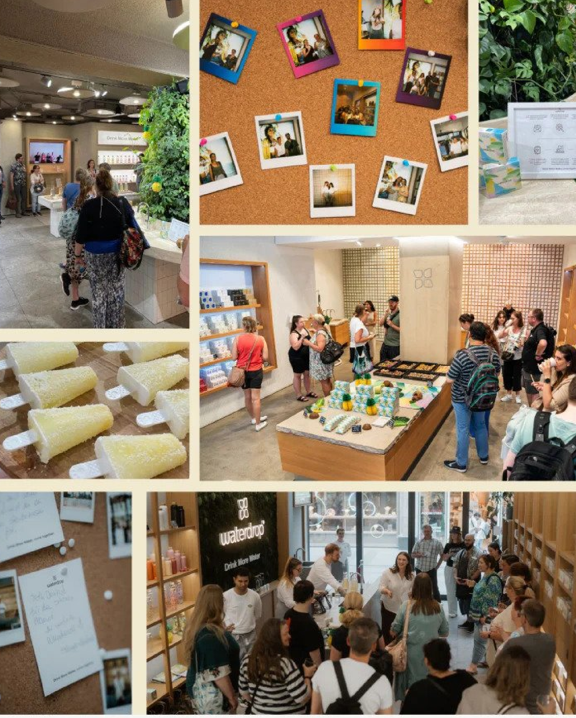 KOKO PIÑA: príchuť waterdrop® komunity