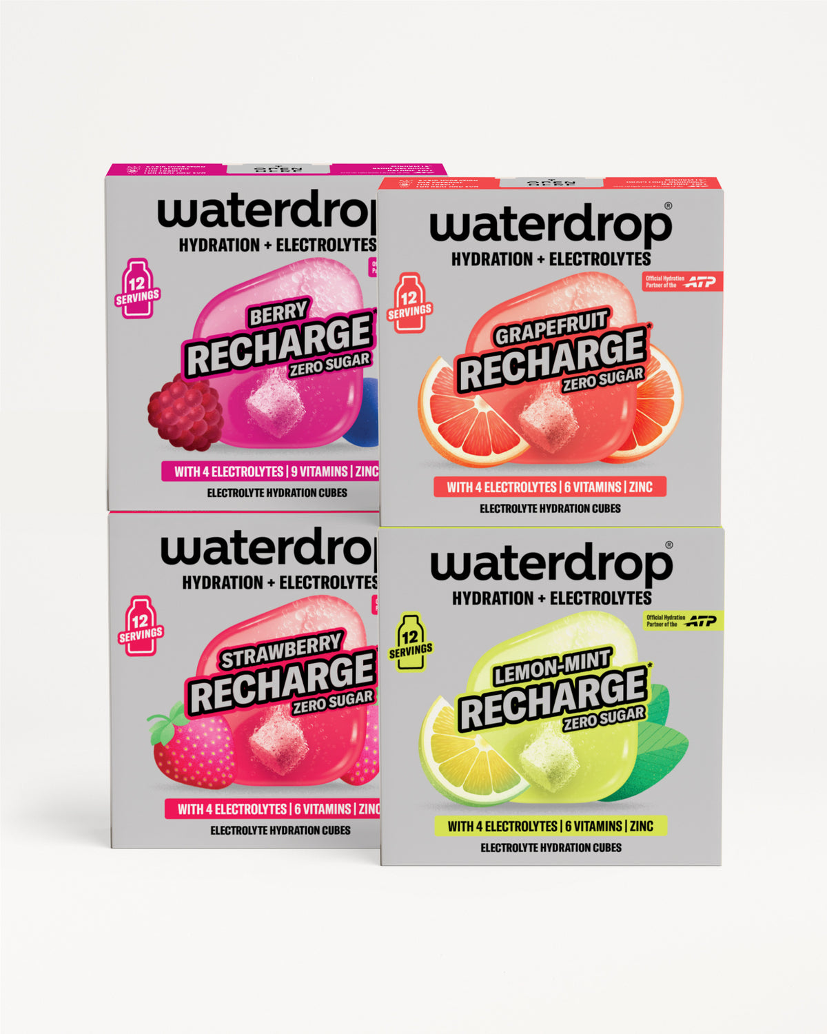 Set Microlyte RECHARGE